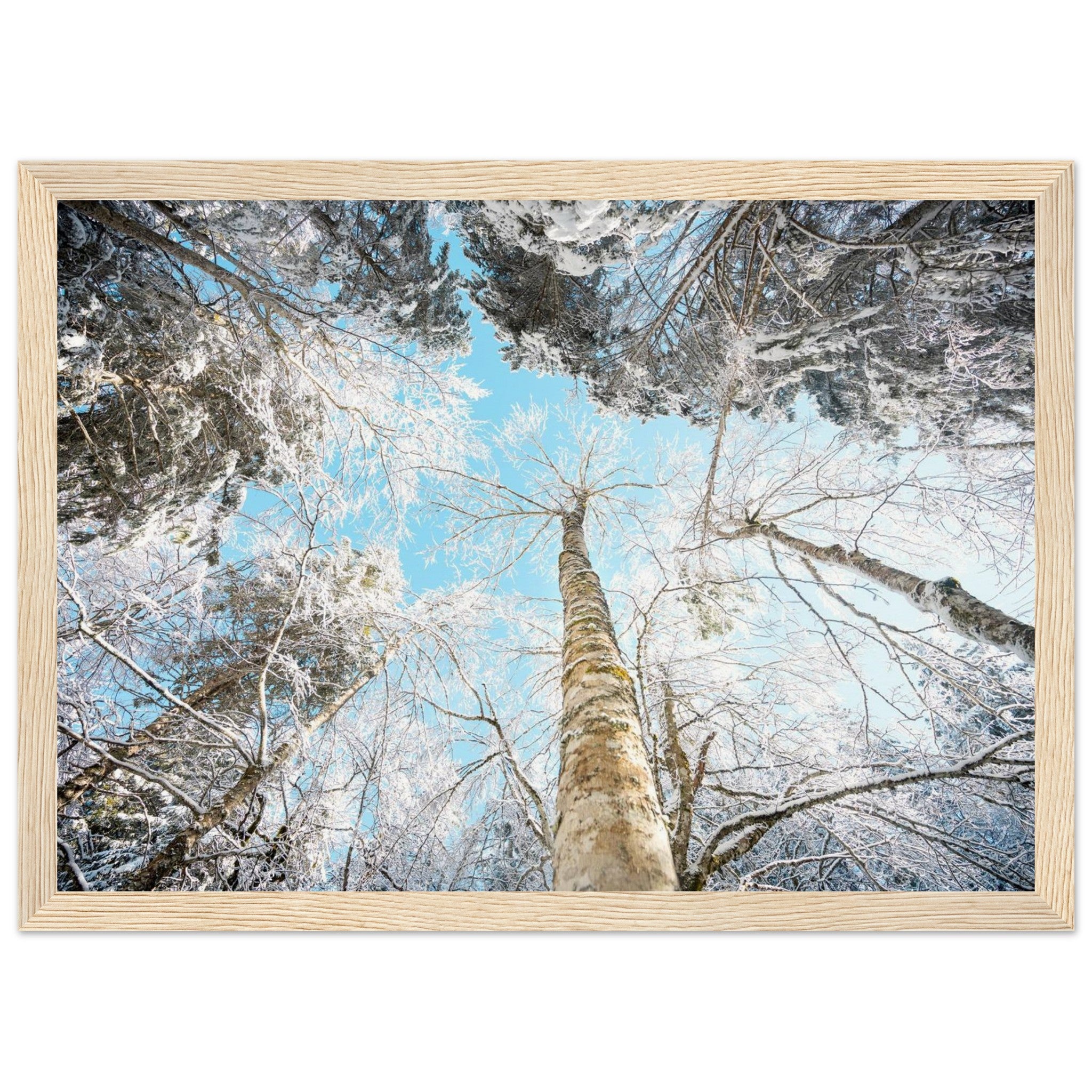 e195f0a4-b8cd-44a0-ad05-5ba90635171f