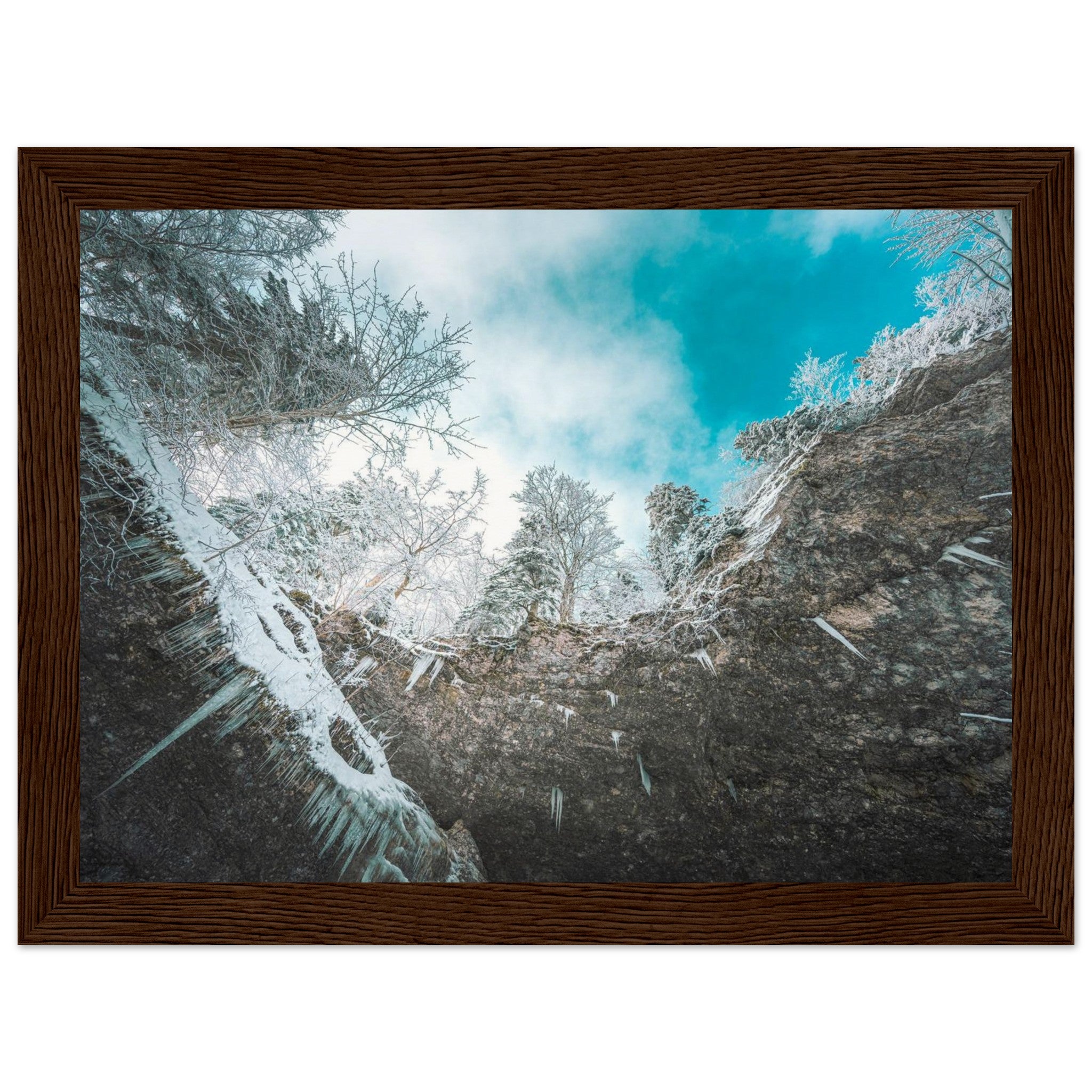 e3021ea7-9784-43b5-afa6-a1886cabb18f