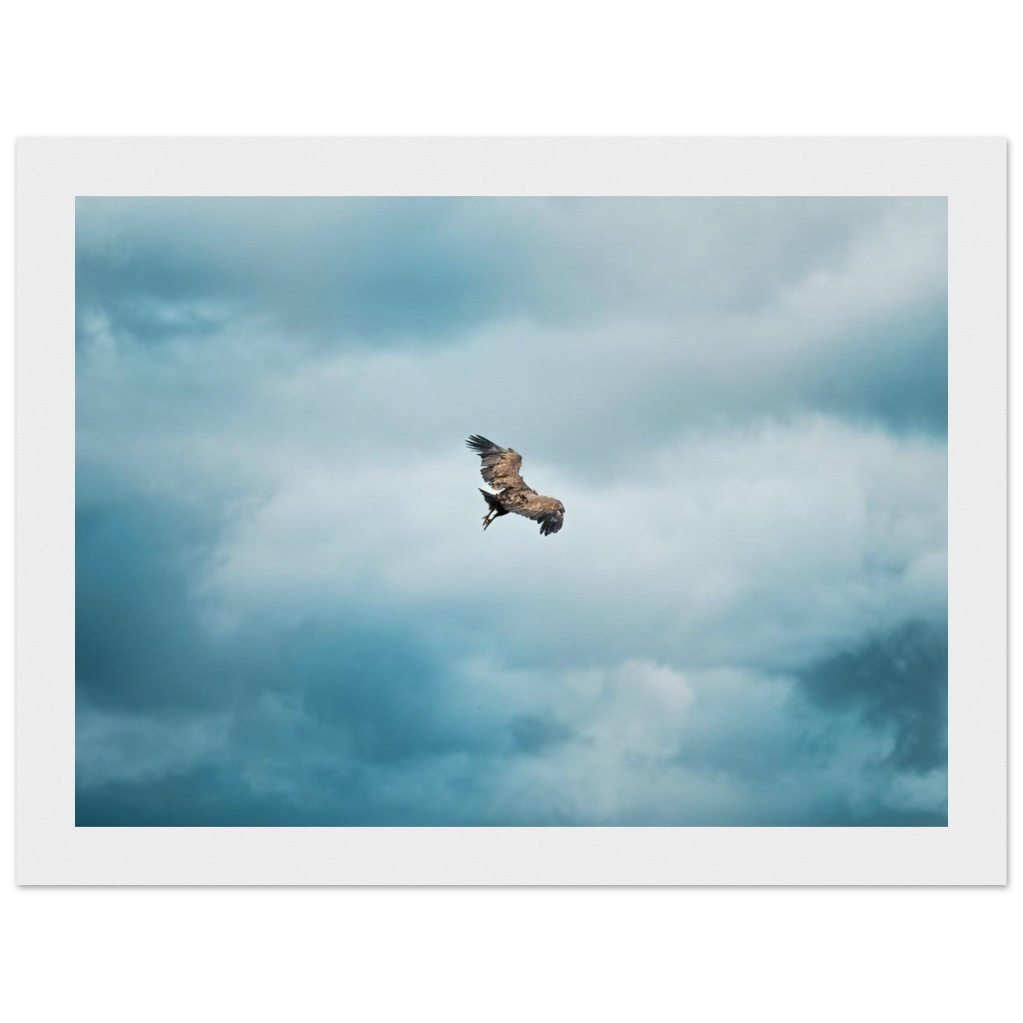 e3a65956-7198-49c6-a477-cea10b0b3bda