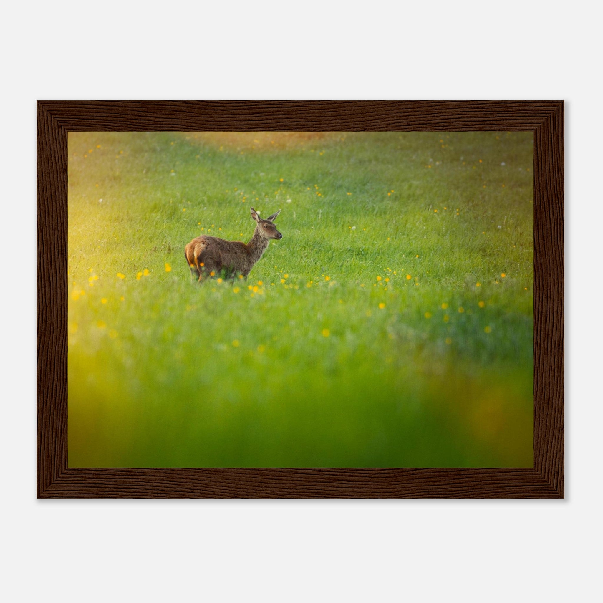 e50fd55f-aafe-4754-bd0e-1608856c7628