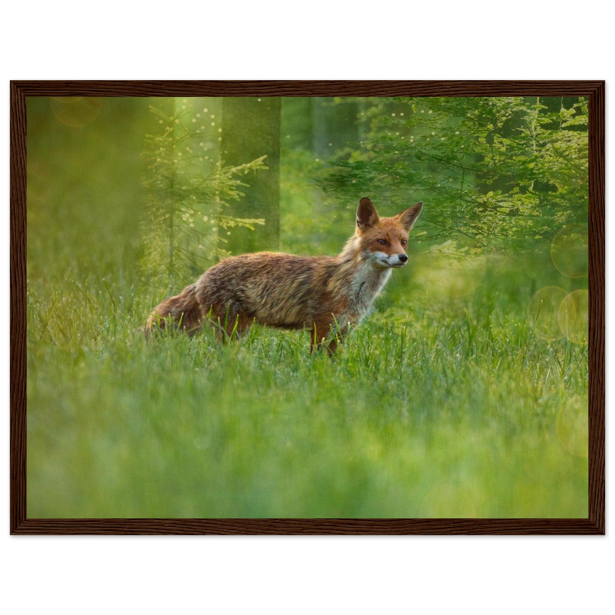 e606e35d-cb8a-4505-977a-bacc9fe964af