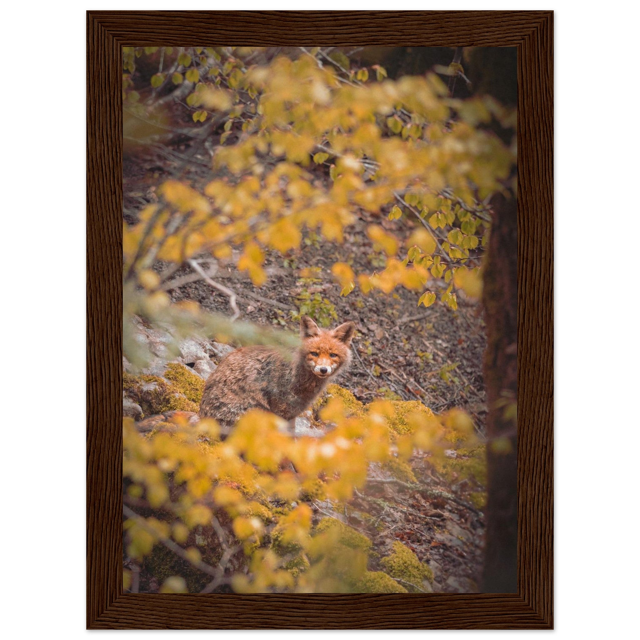 e69754ea-e7ba-4f28-8f96-8226d2d90d37