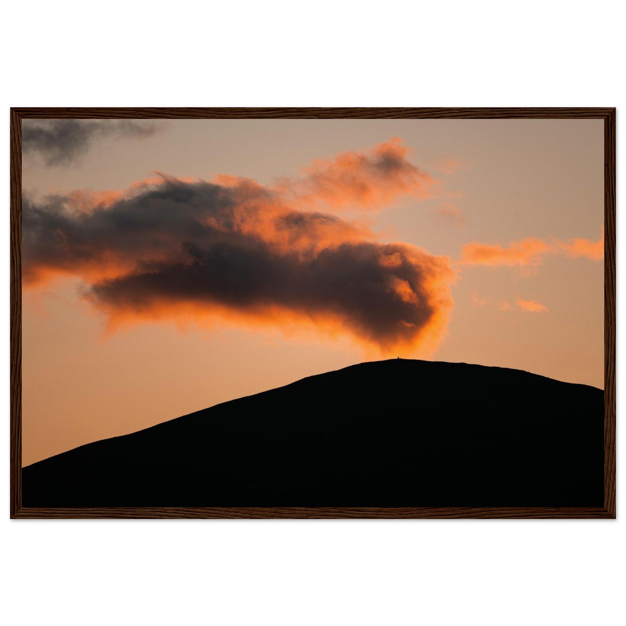 e6f53842-c701-48d0-98fc-6fd60f26a41e