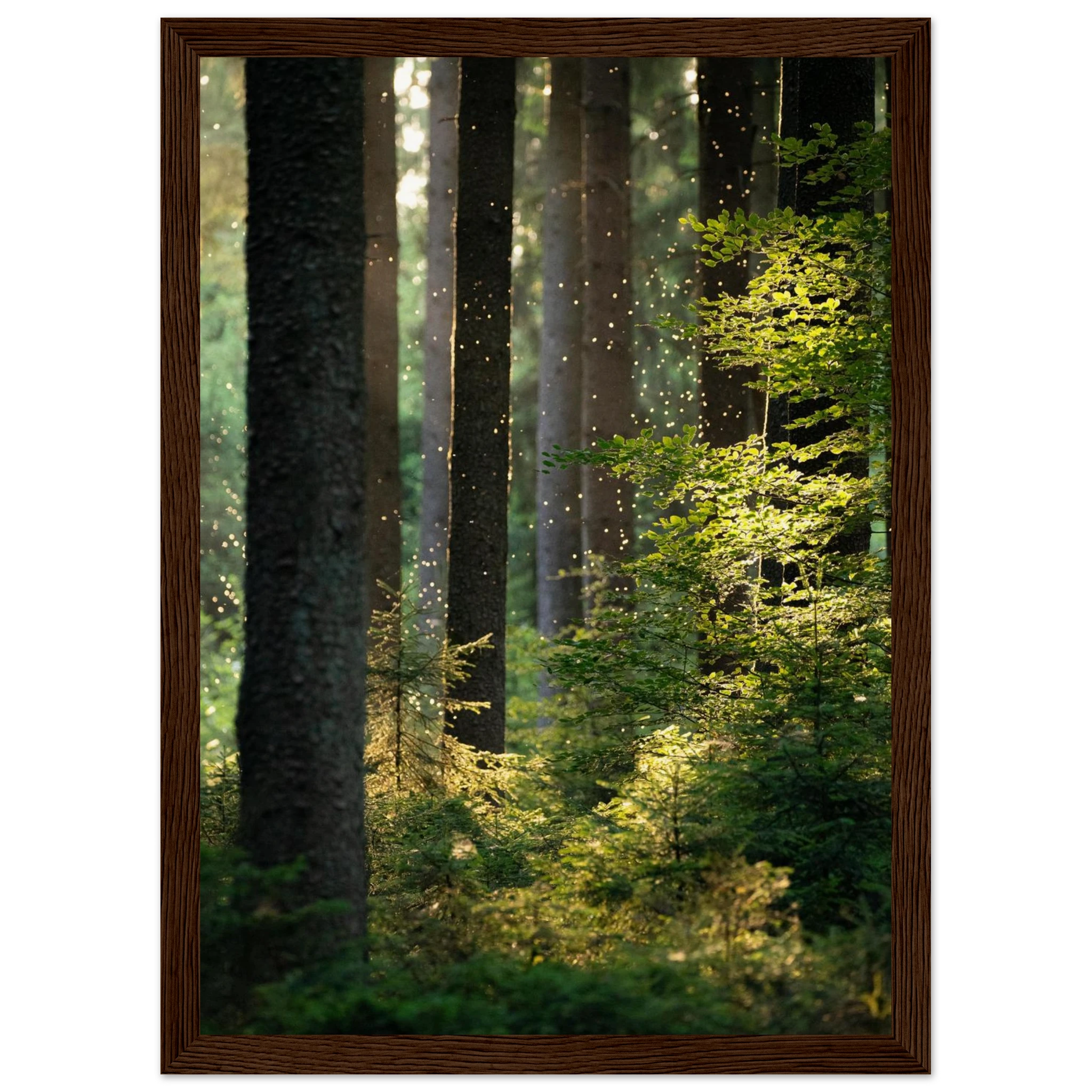 e874b7f3-afd0-4d3f-99bf-a2a79b32ec5f