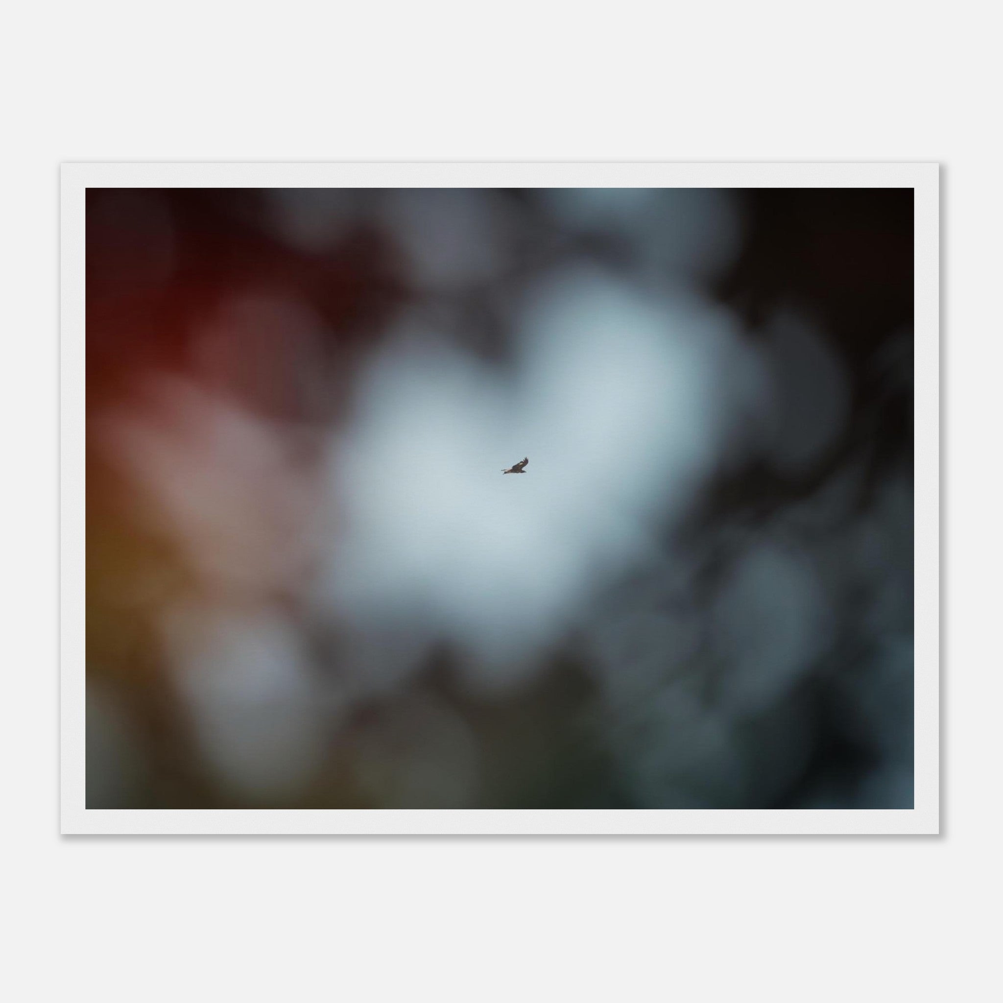 e923e845-4a4e-499b-9a3f-22dd2bd62e79