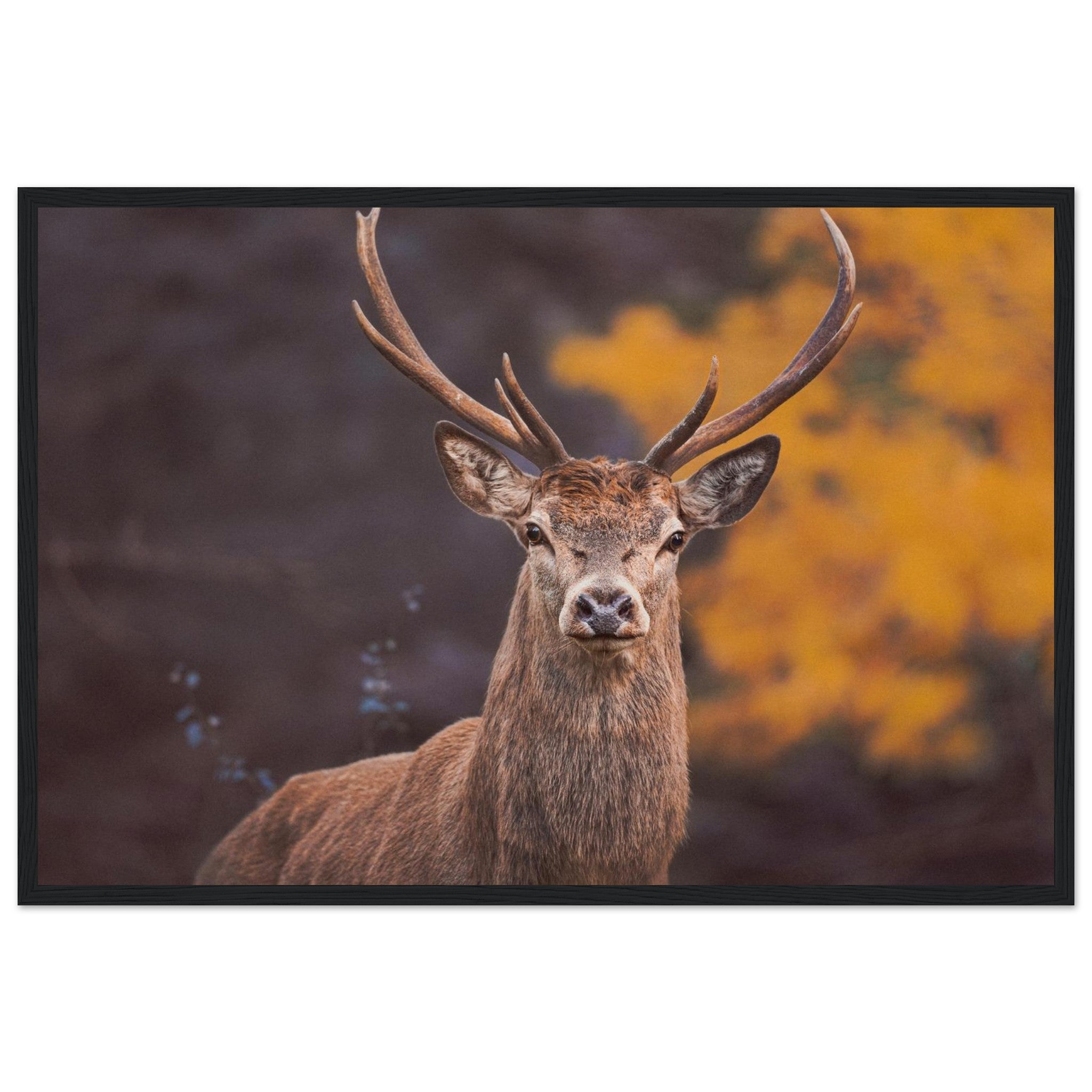 e9daf175-164d-48bc-b9ba-956b6805a922