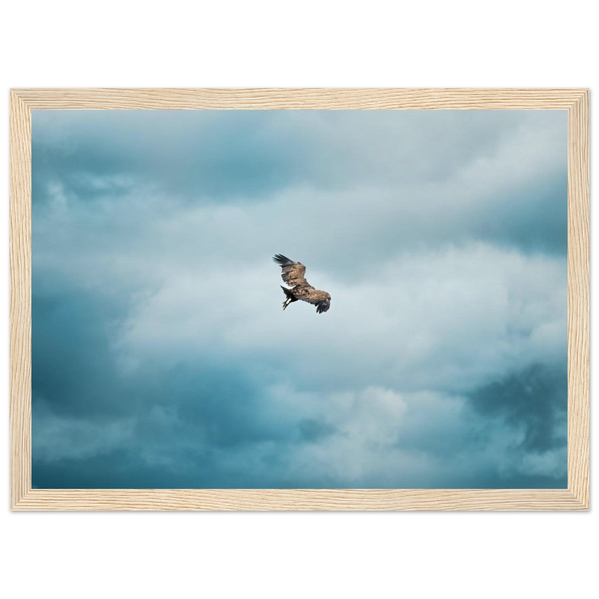 ea58e098-6208-4620-91c0-e875857c9db5