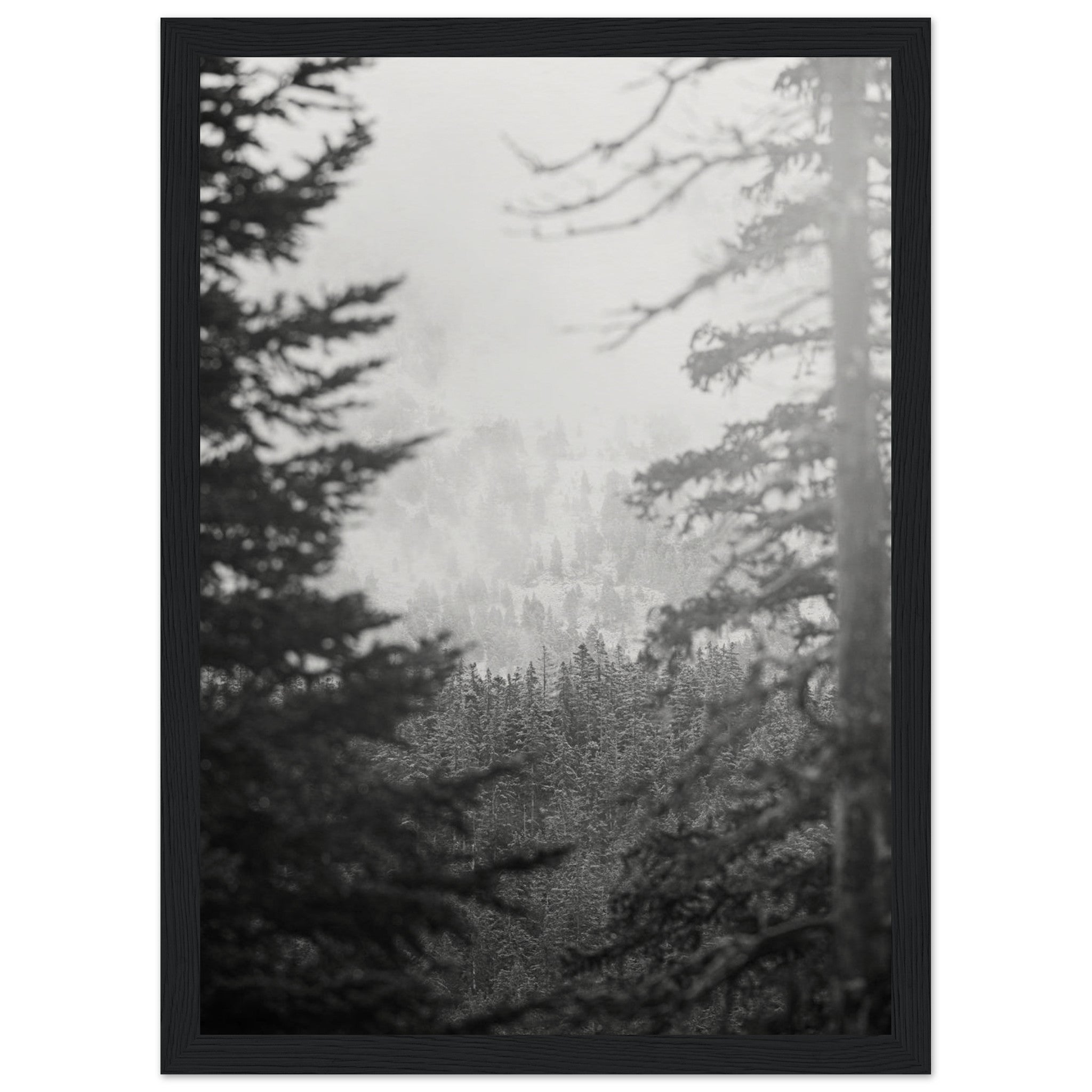 eb592c0d-5fba-45f1-b947-3978b5adfadc