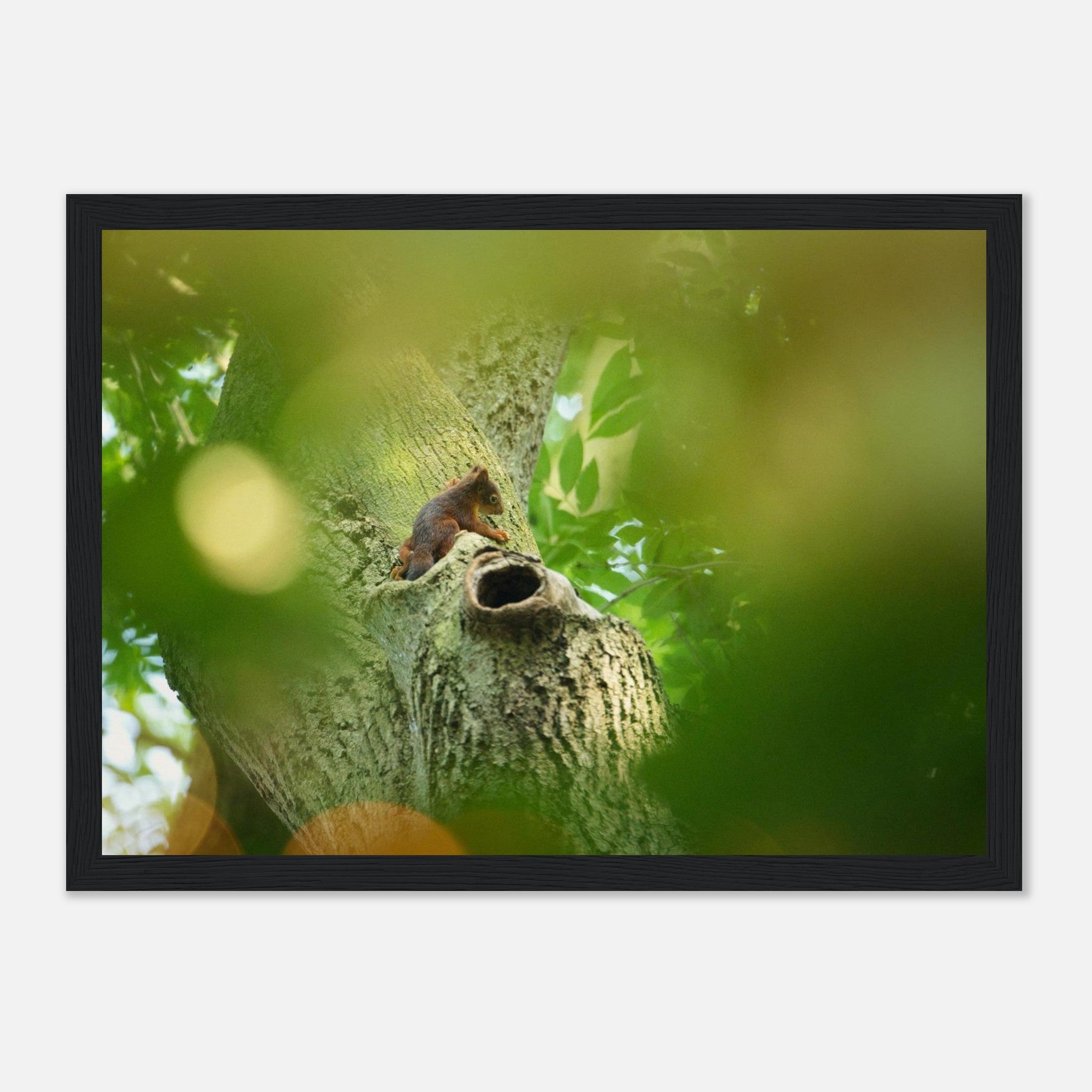 edb43658-a735-4bcc-80e1-f273f19c8ffc