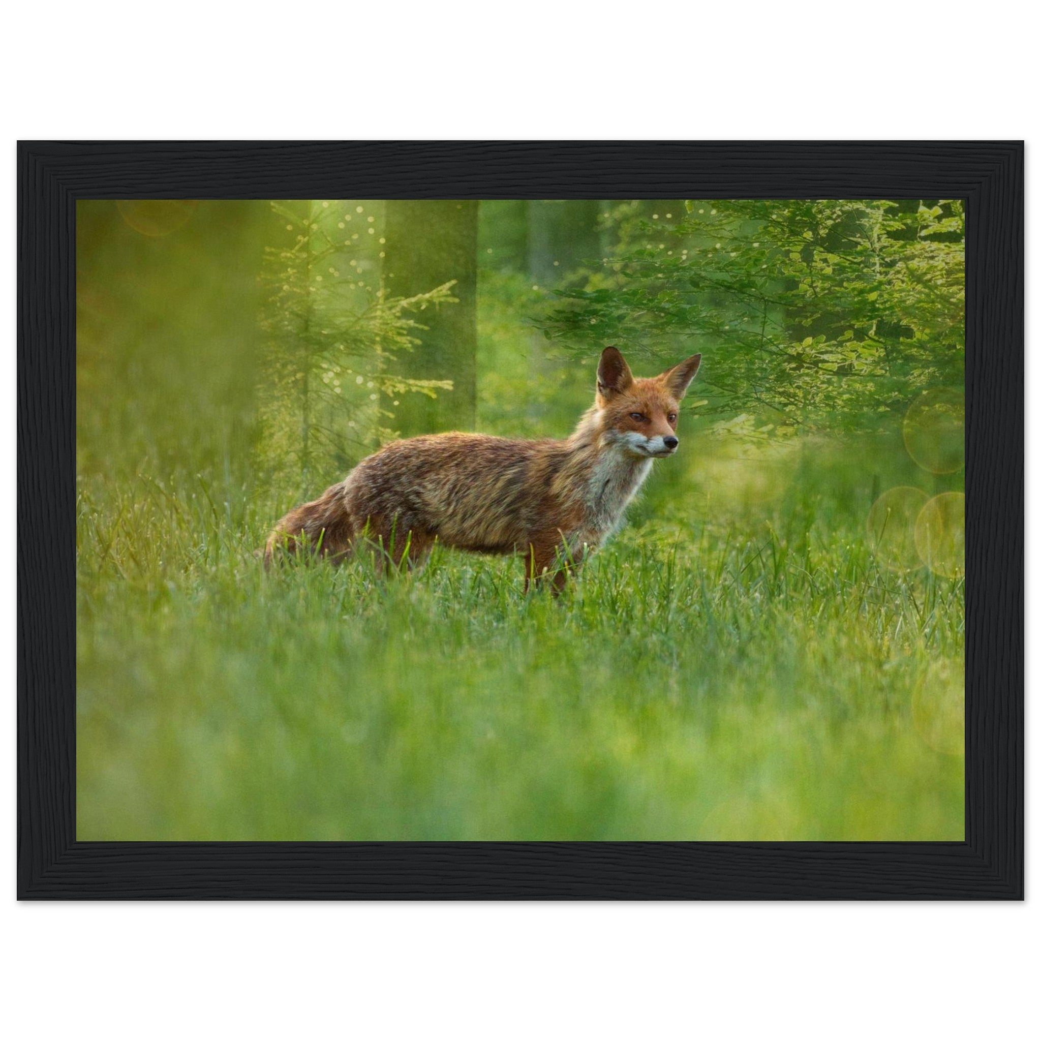 ef085bd5-e438-4f7f-a831-906145a475b4