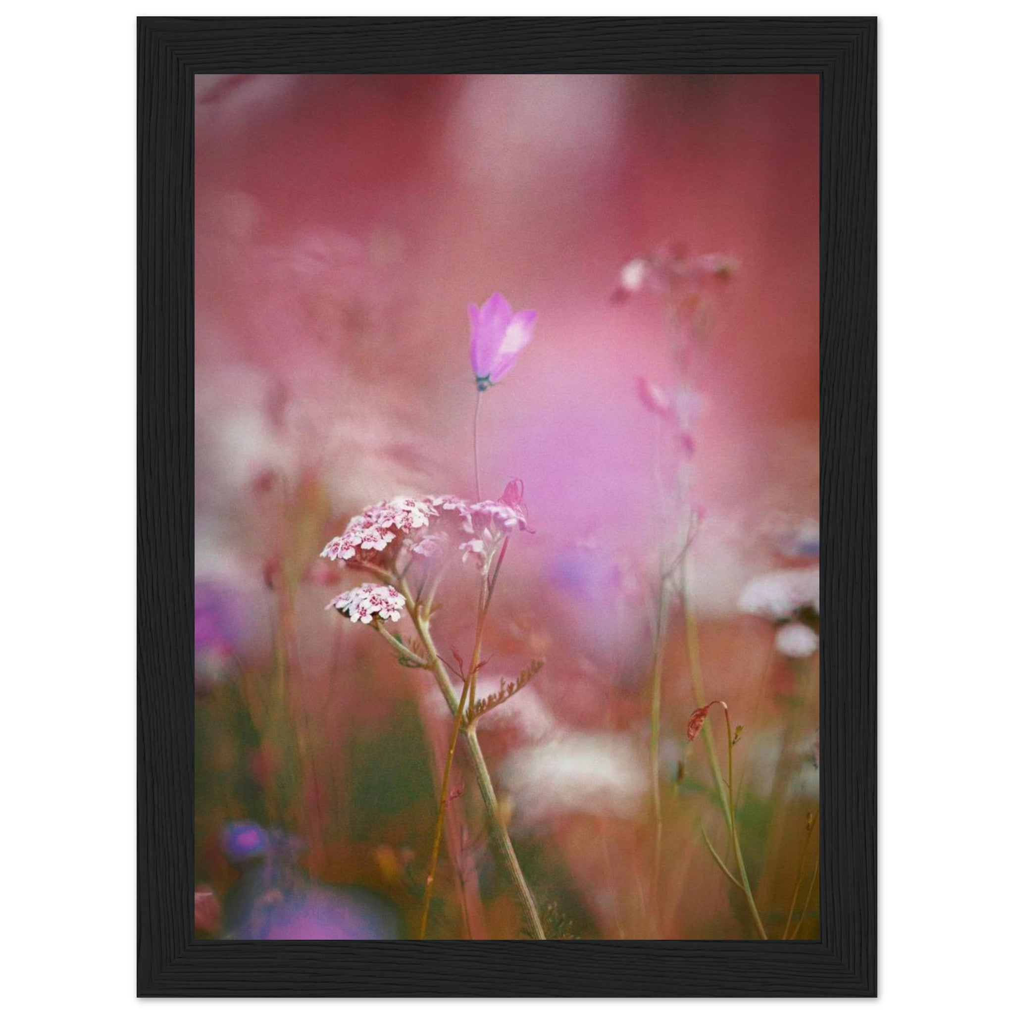 f14e6bb1-a480-48a2-9973-903702d3988f