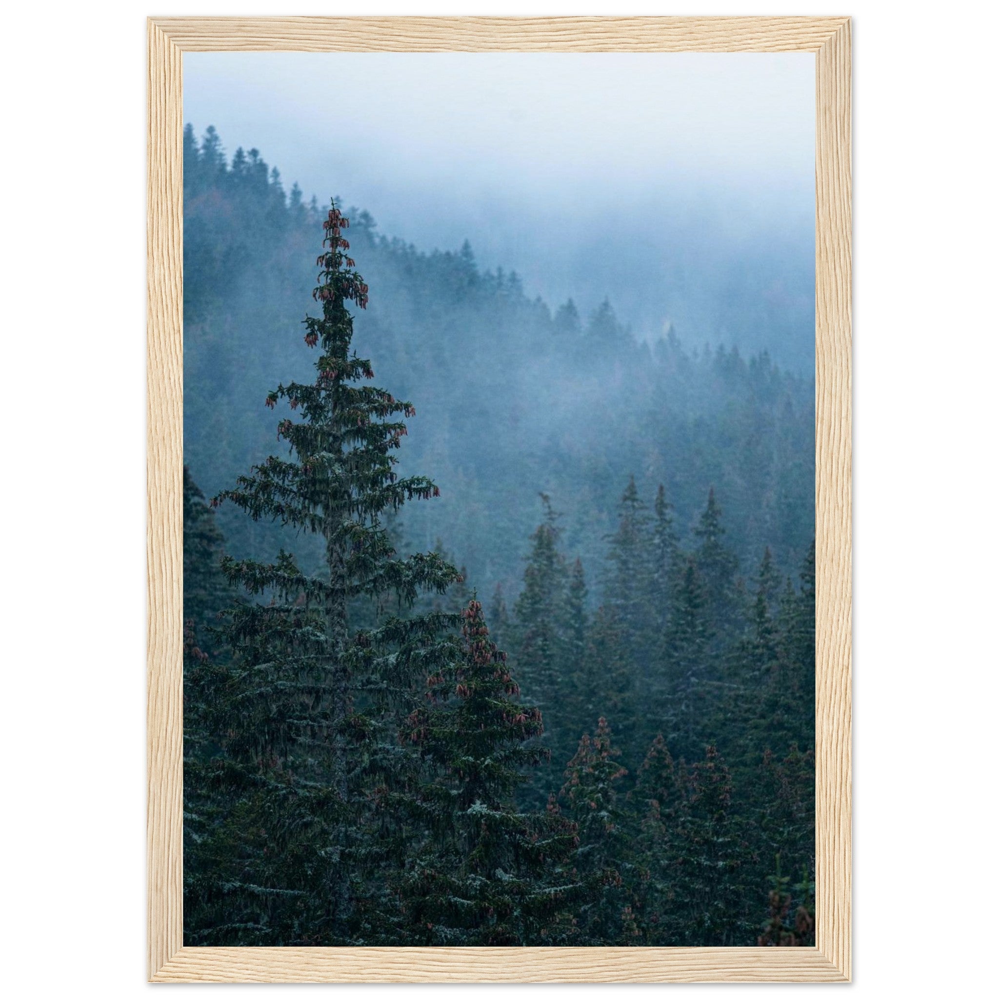 f1db7bbb-6c84-463e-9b48-b0cef90d2579