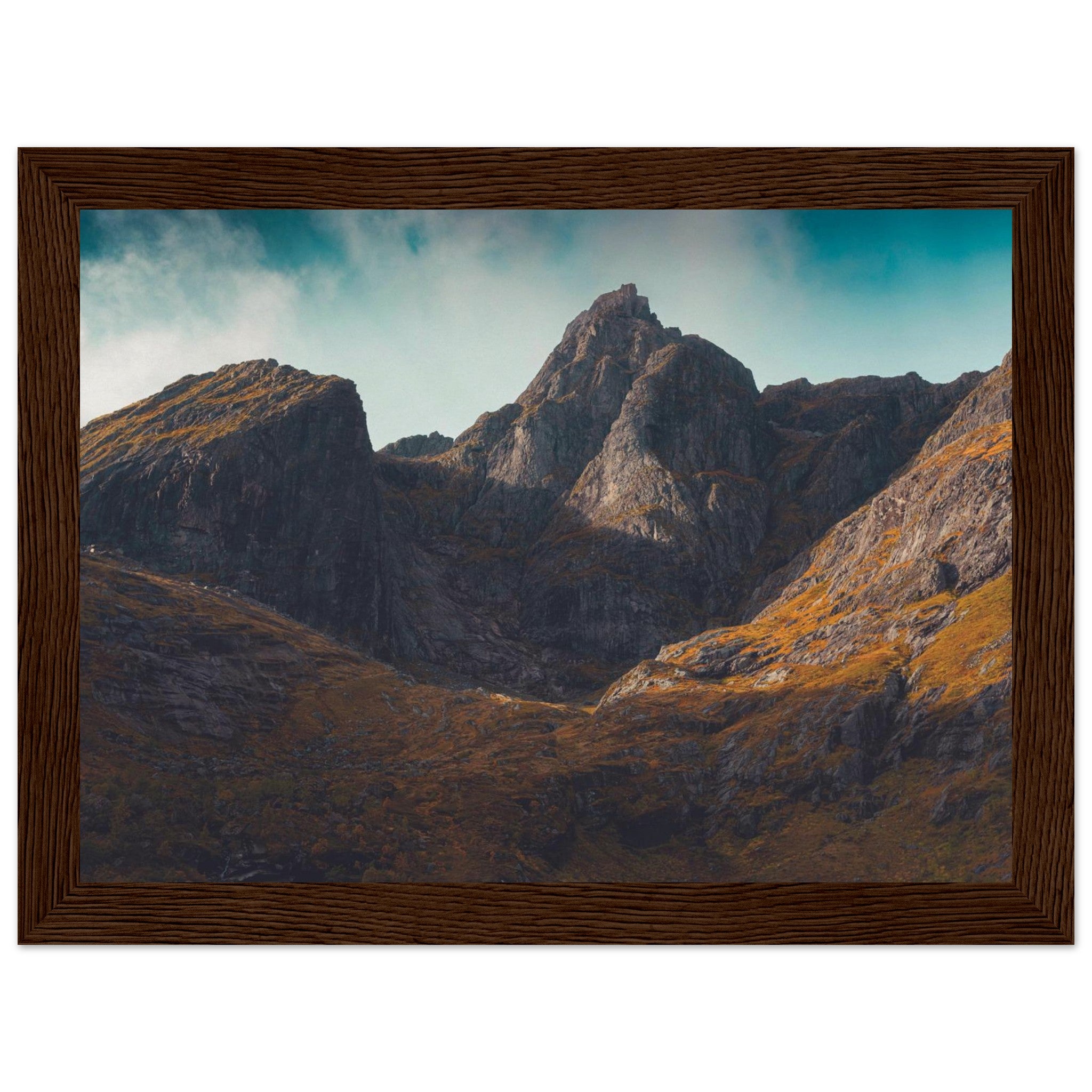 f2b5a13b-ab69-4ead-bb55-b7bd0b422b53