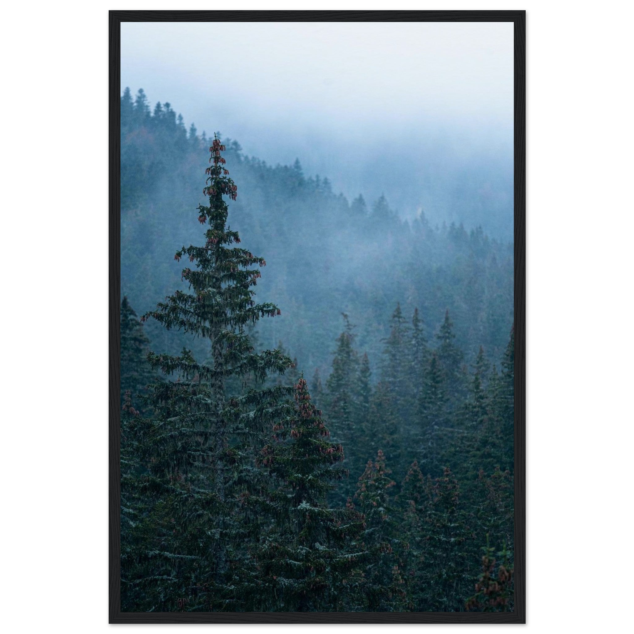 f32e4e40-6615-4bd3-ae50-46d6cb962cb6