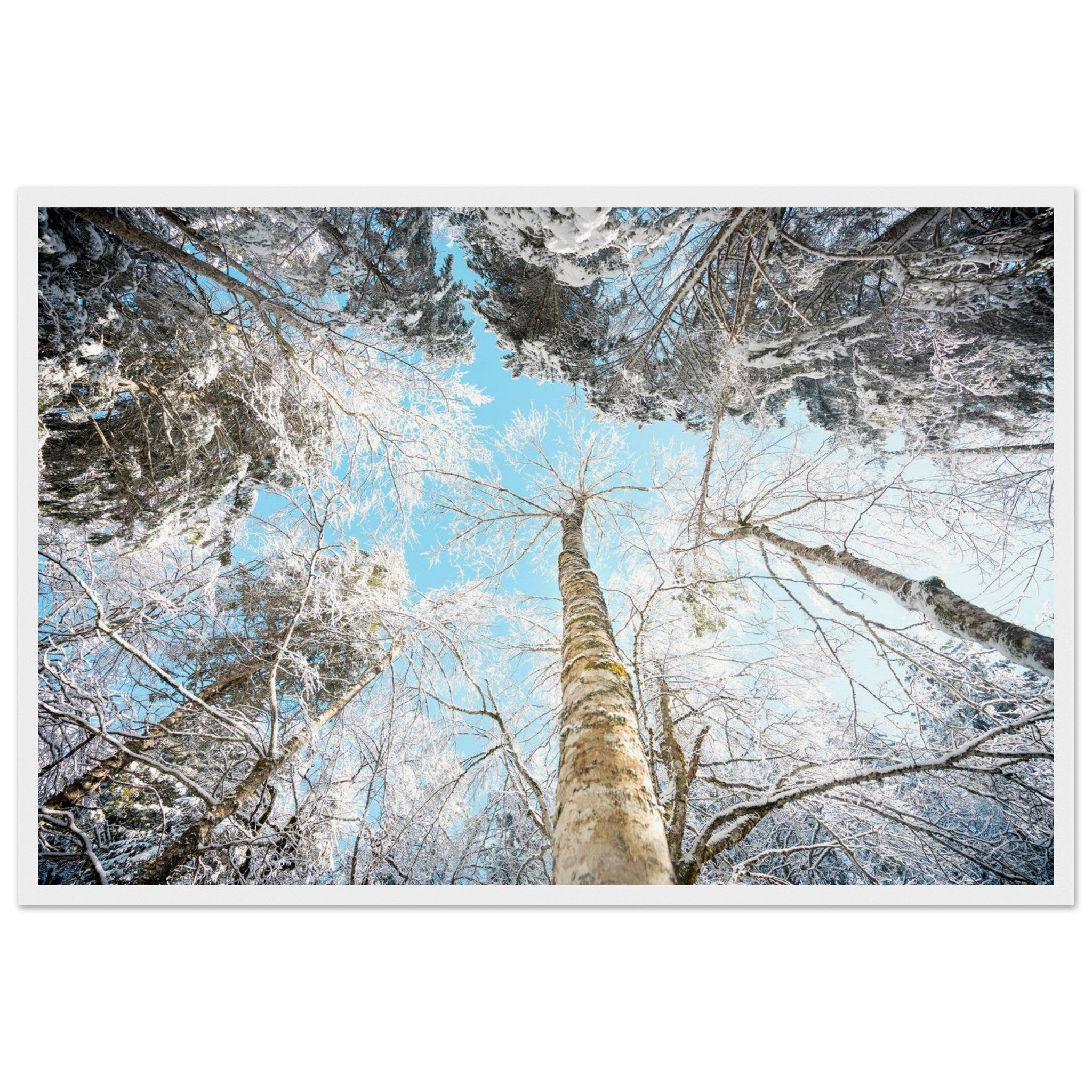 f39c7f7b-bf09-4e36-b9b0-b1945411a65e