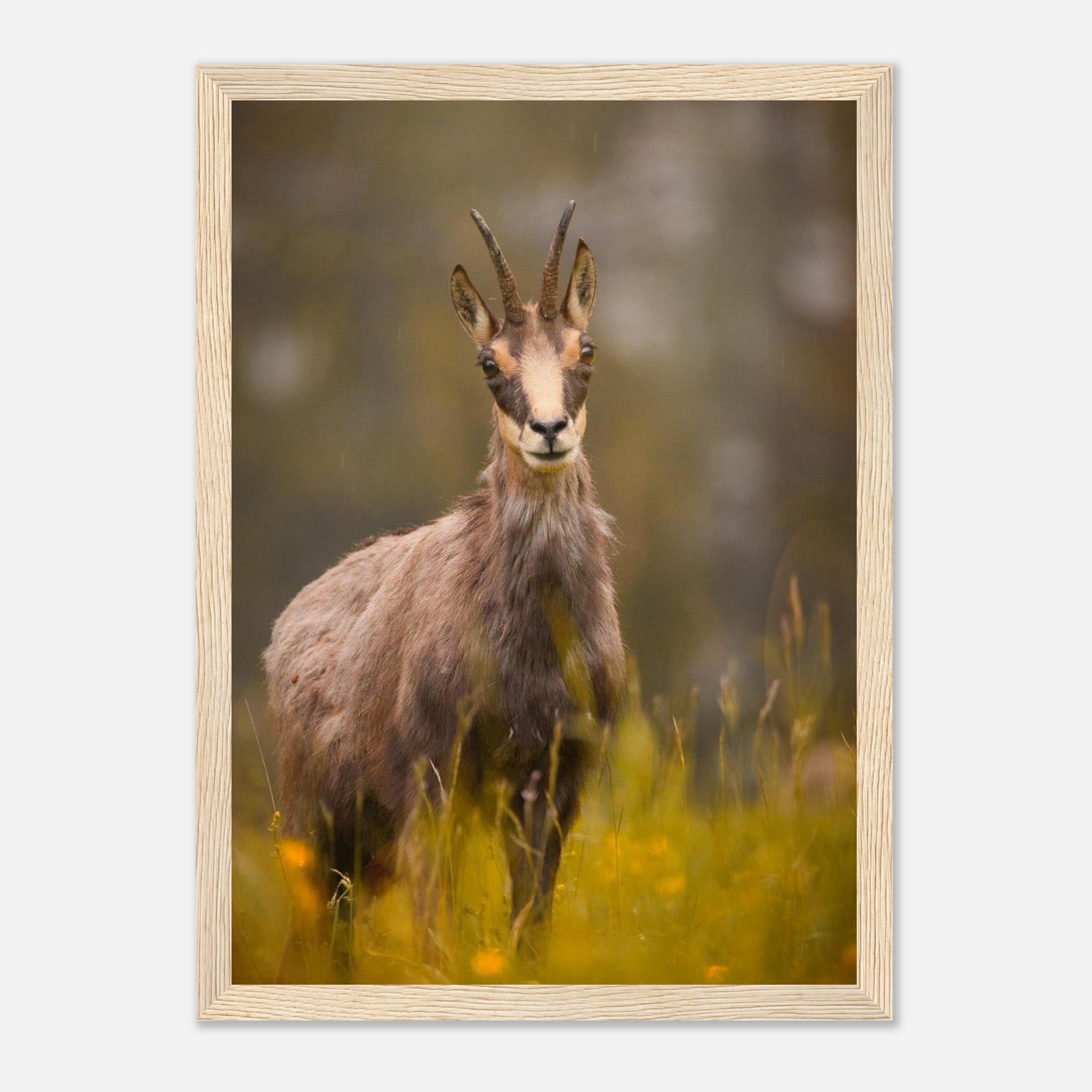 f6cb59db-7387-44f0-8d14-24954554a1c0