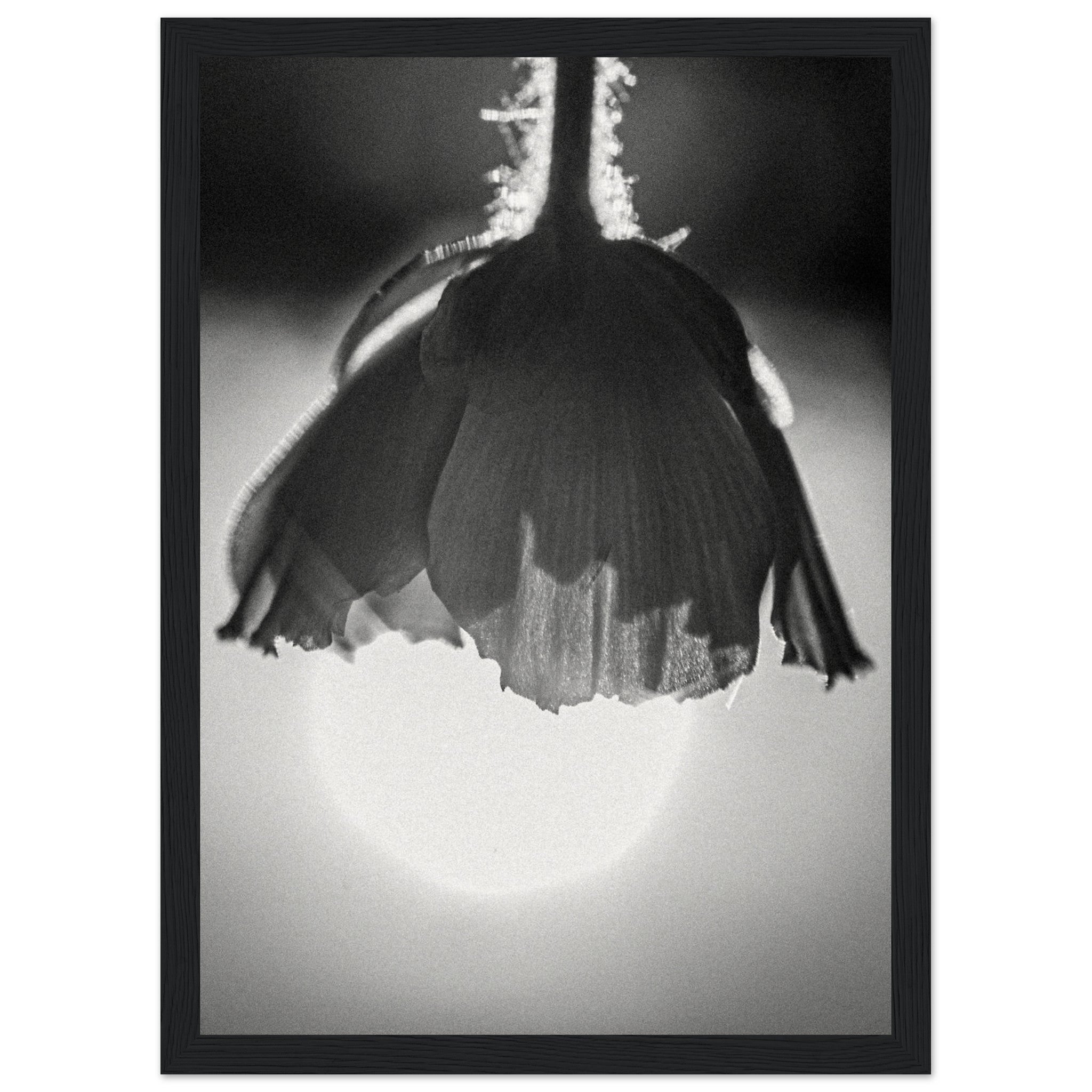 f7e9bdc2-83c3-4028-8f3d-4795d7a9fe41