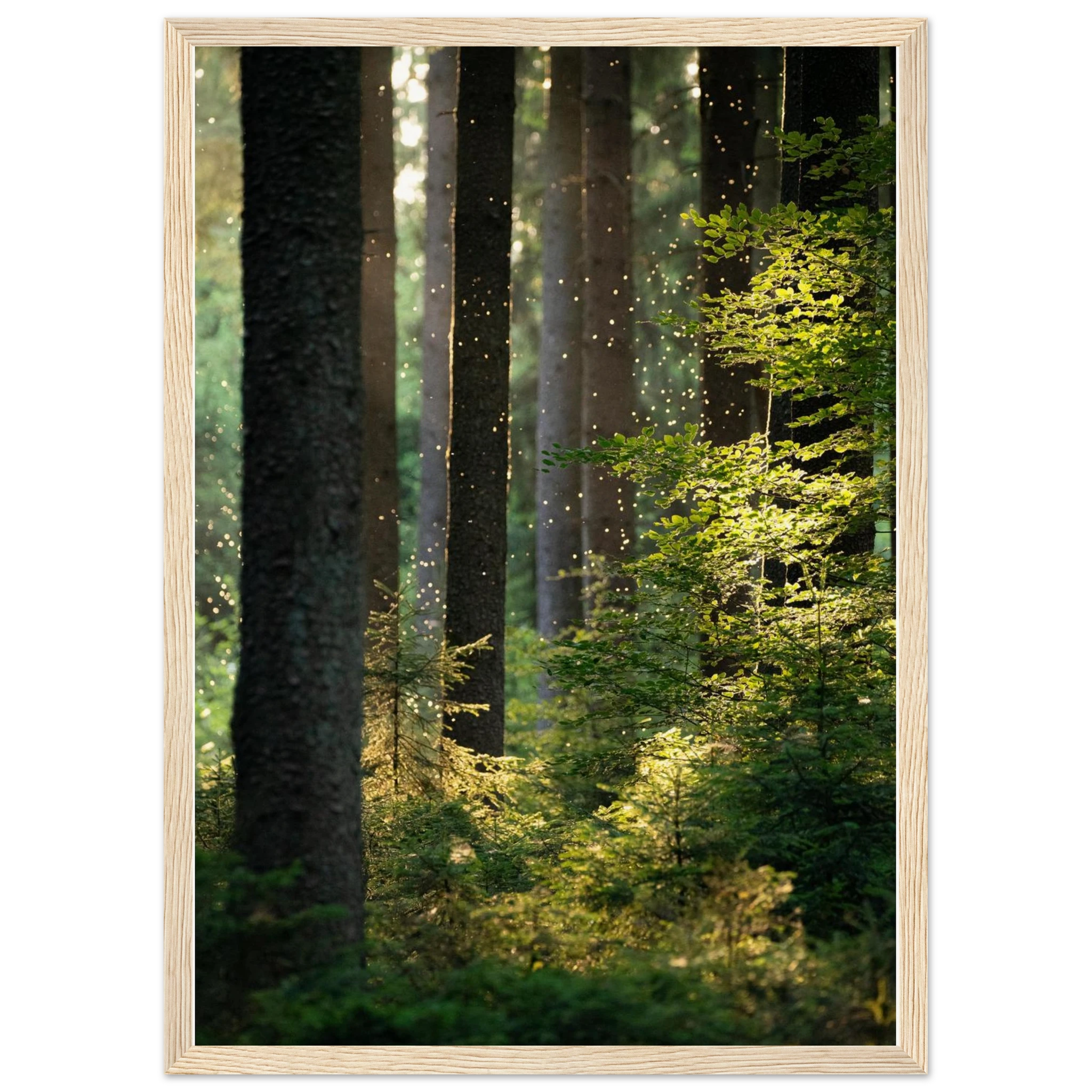 f846b177-38bf-4163-ba76-321308f99766