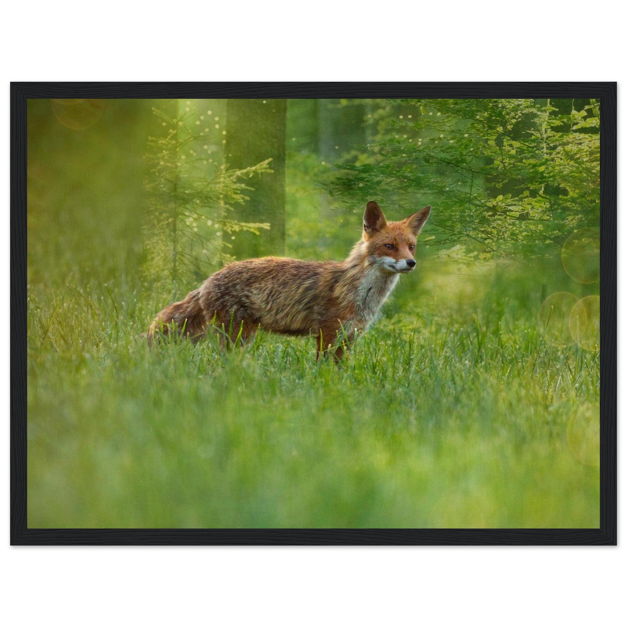 fb18a814-e832-40ec-8257-d586f392b74f