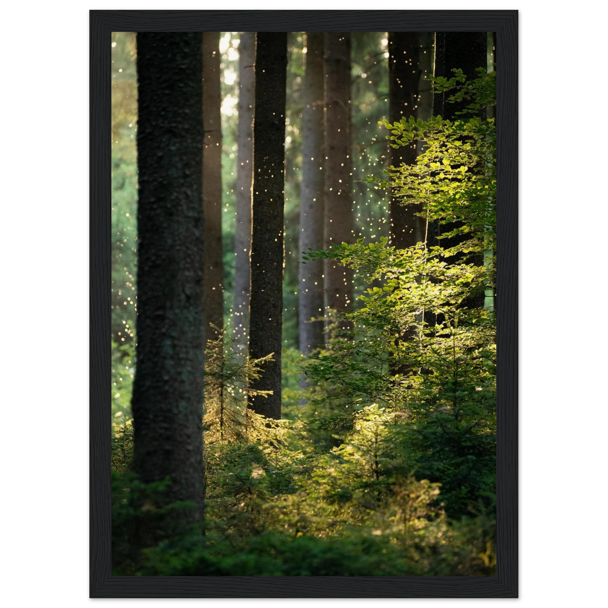 fb42c4cb-dc5c-43ad-a6de-9eecf7758465