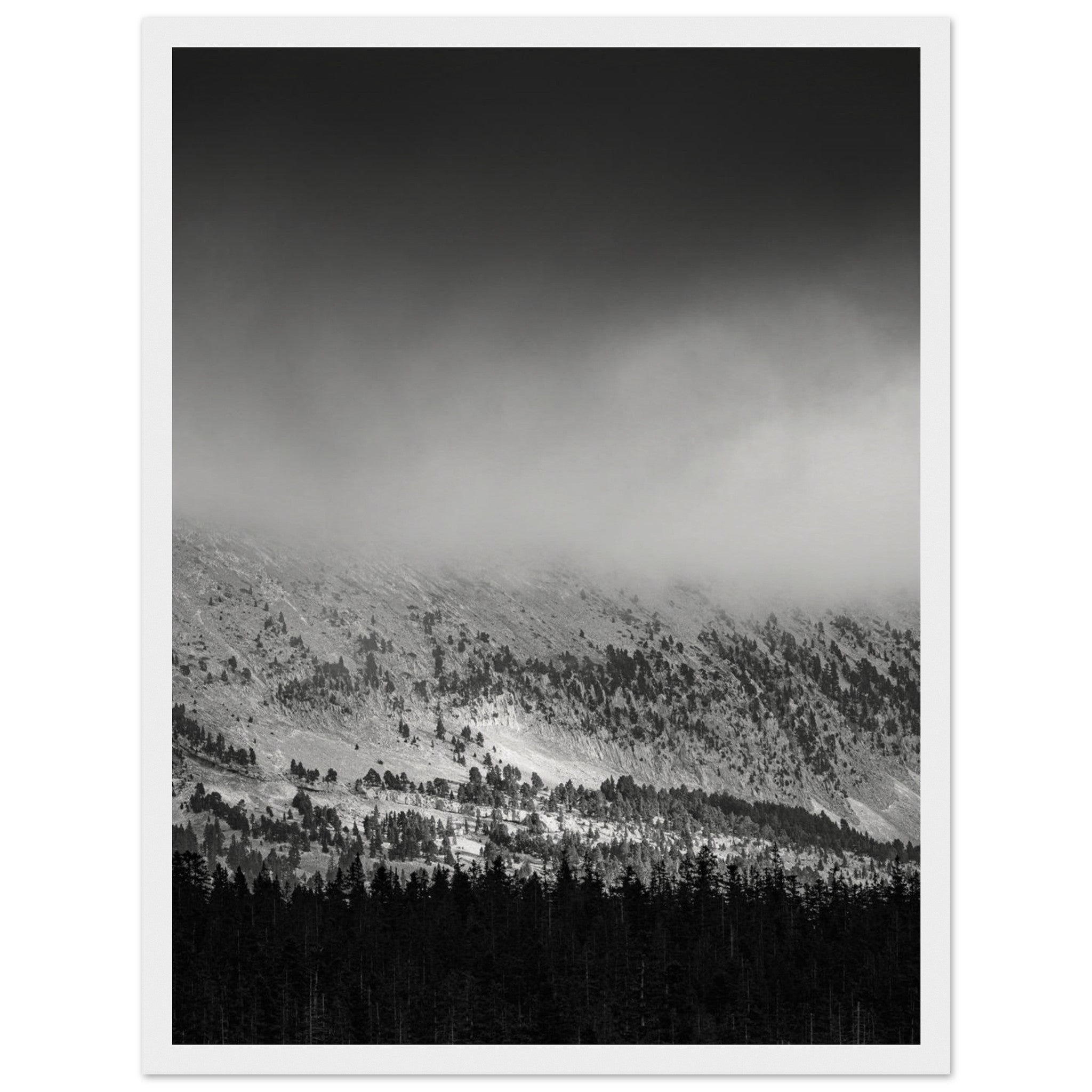 fe322866-25ab-43a6-930f-0e9d8b0757e7